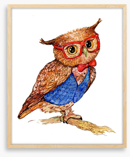 Owls