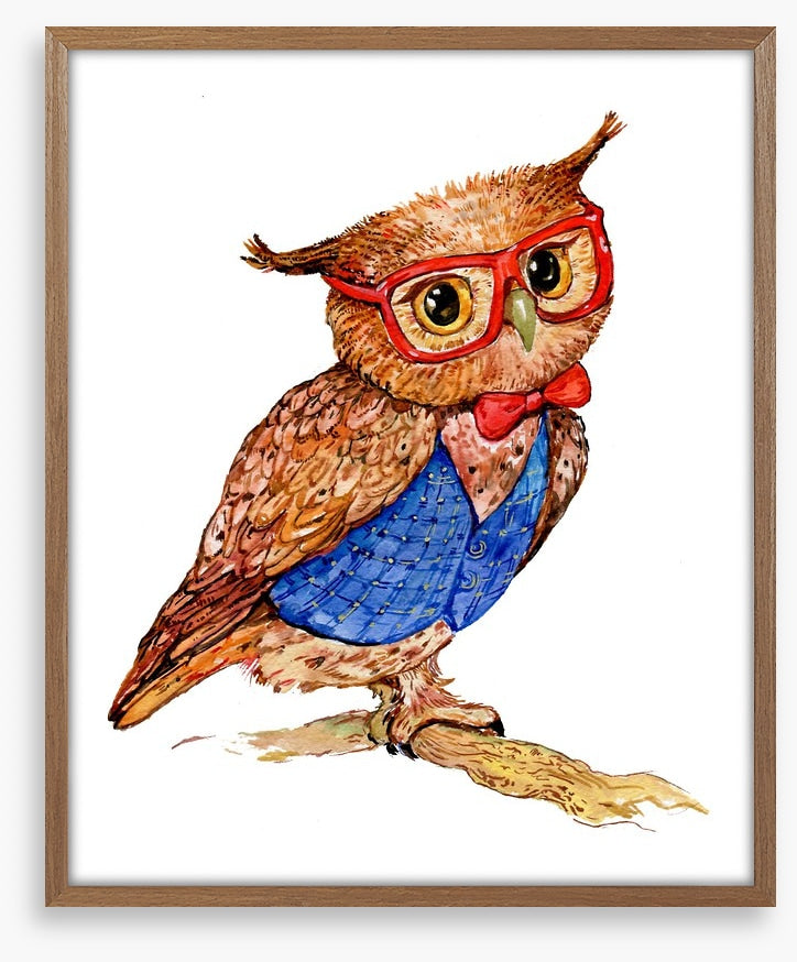 Owls