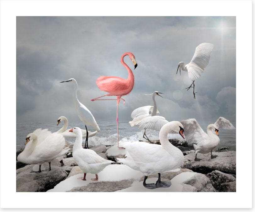 Standing out from the crowd