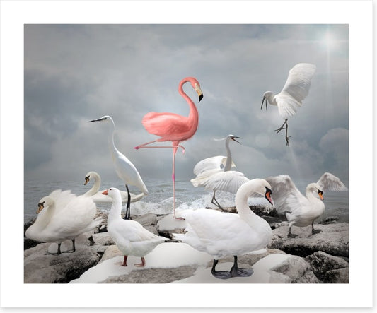 Standing out from the crowd