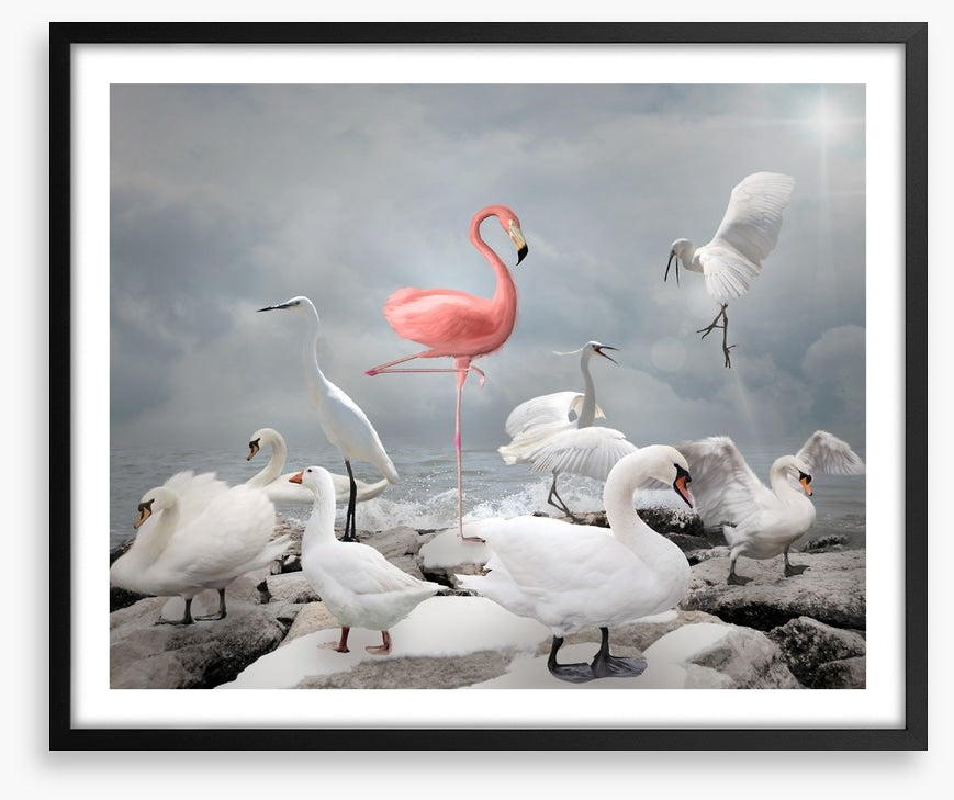 Standing out from the crowd