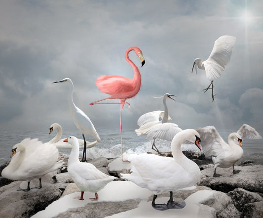 Standing out from the crowd