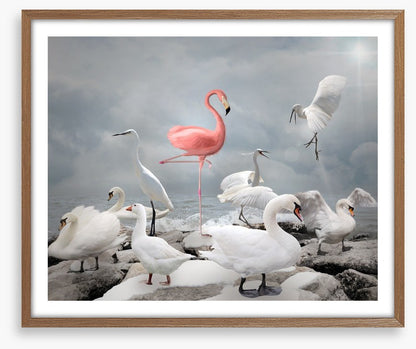 Standing out from the crowd