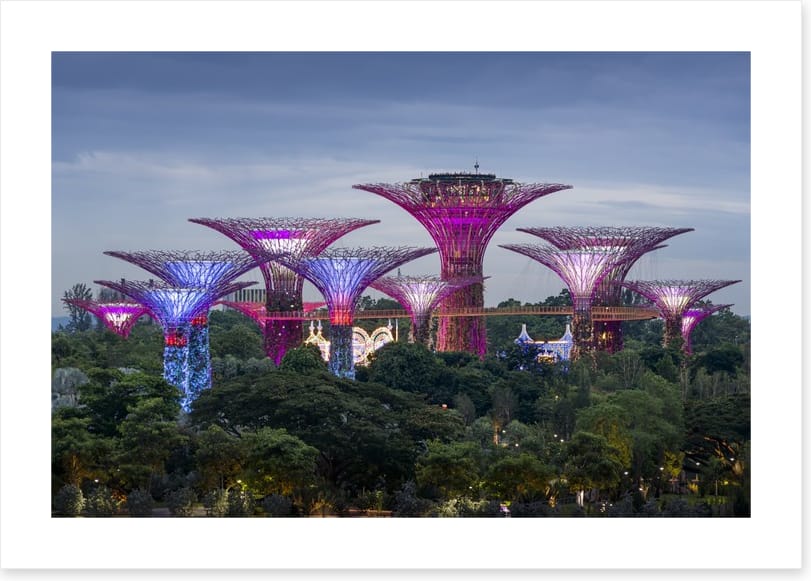 Gardens by the bay