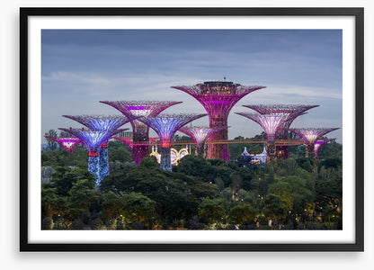 Gardens by the bay