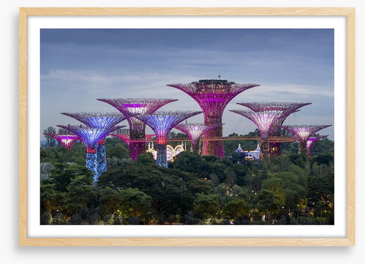 Gardens by the bay