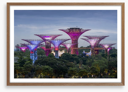 Gardens by the bay