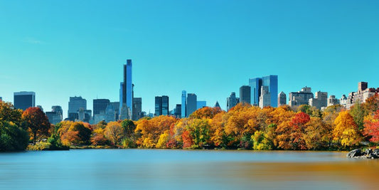 Manhattan skyline in Fall
