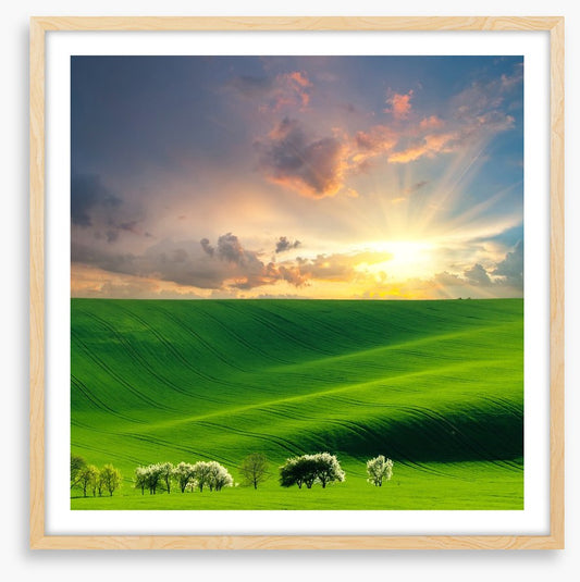 Rolling hill sunburst