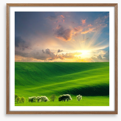 Rolling hill sunburst