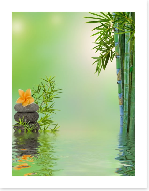 Floating frangipani