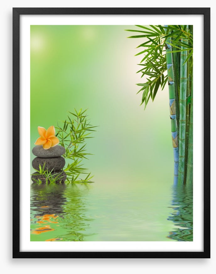 Floating frangipani