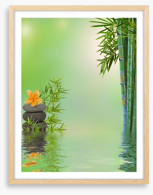Floating frangipani