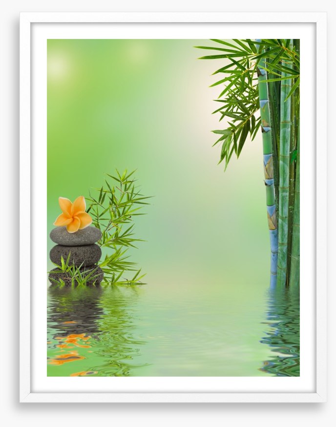 Floating frangipani