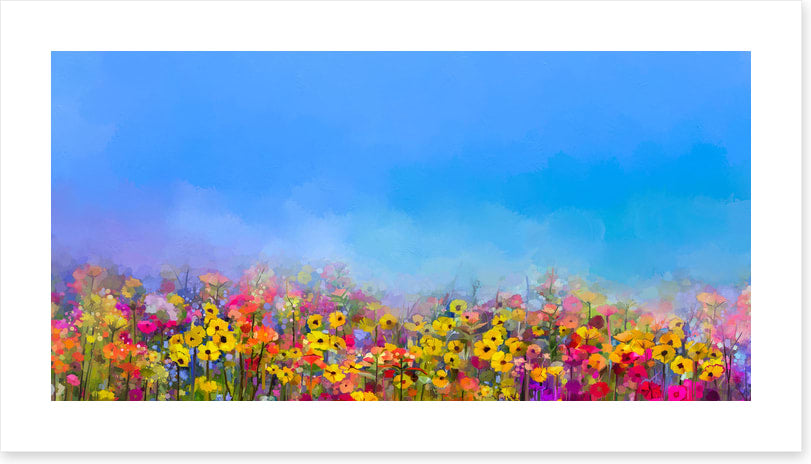 Cornflower sky