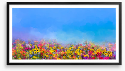 Cornflower sky
