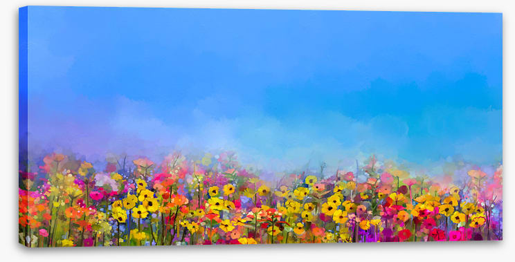 Cornflower sky