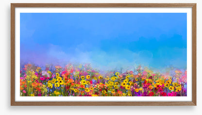 Cornflower sky