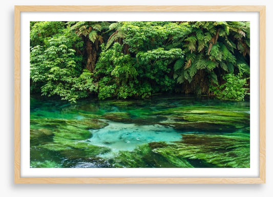 Blue Spring greens