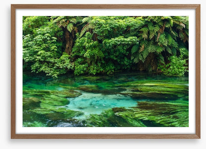 Blue Spring greens