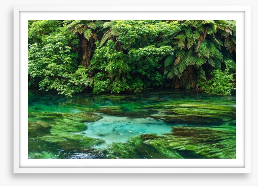 Blue Spring greens