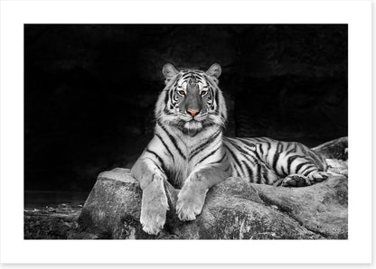 Easy tiger