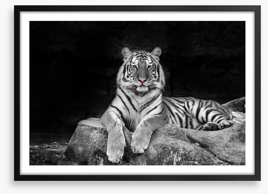 Easy tiger