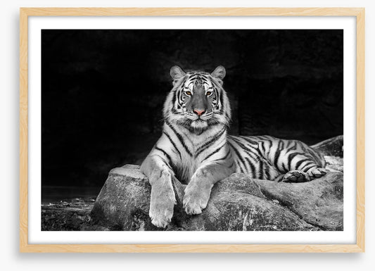 Easy tiger