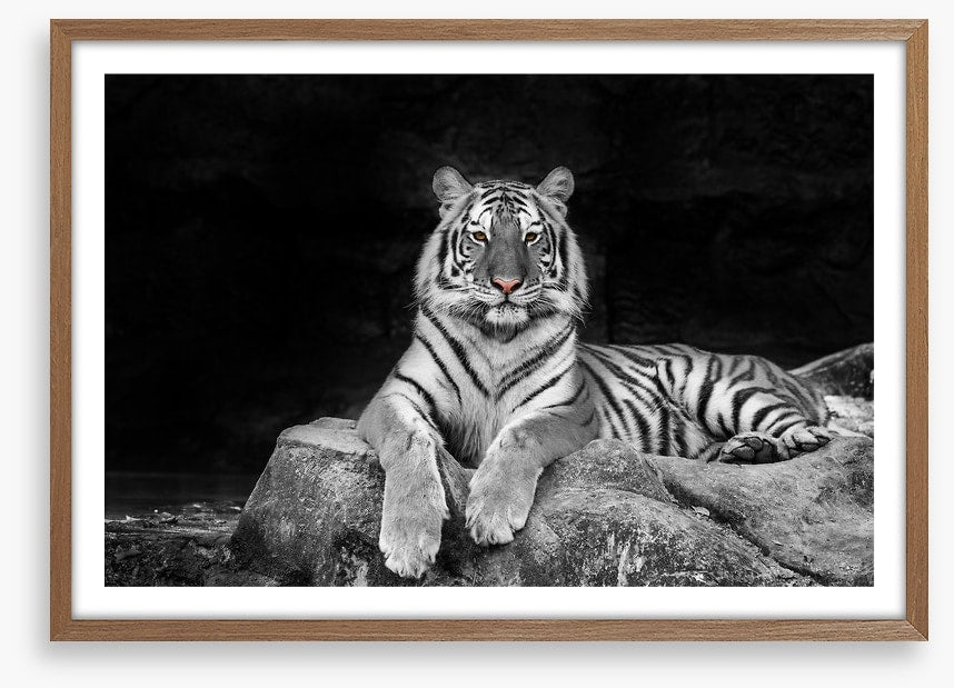 Easy tiger