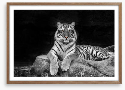 Easy tiger