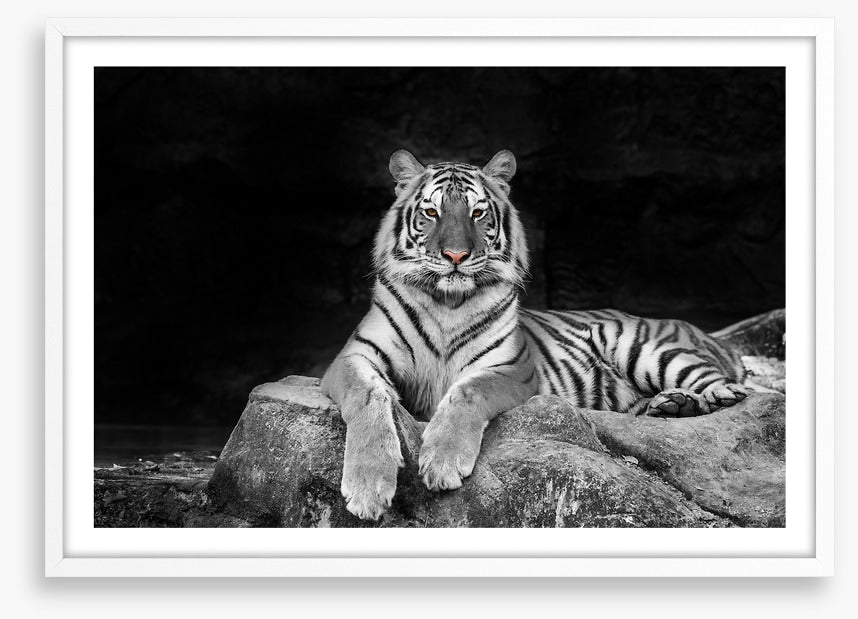 Easy tiger