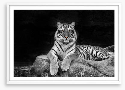 Easy tiger