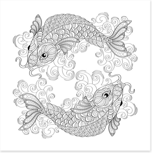 Colour me koi
