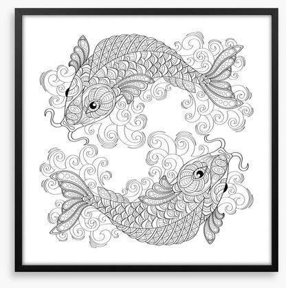 Colour me koi