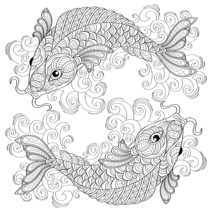 Colour me koi
