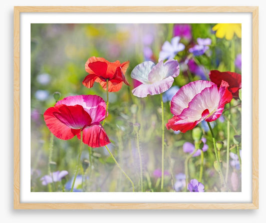 Beautiful Spring
