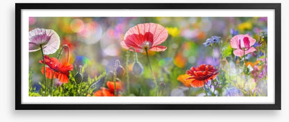 Spring meadow panorama