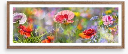 Spring meadow panorama