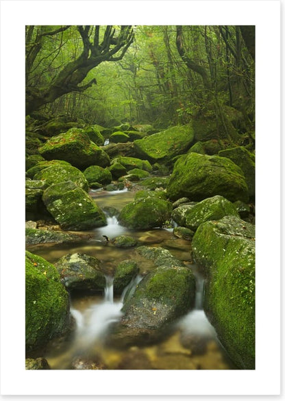Wilderness waterfall