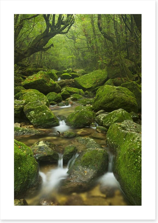 Wilderness waterfall