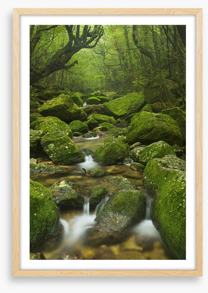 Wilderness waterfall