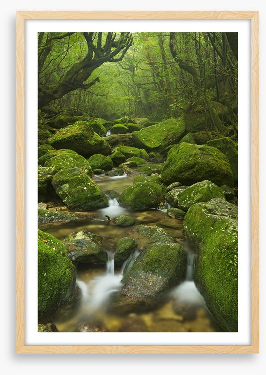 Wilderness waterfall