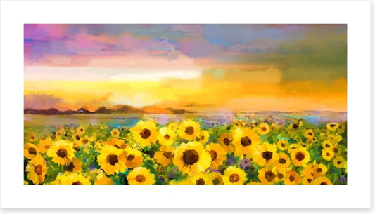 The sunflower meadow