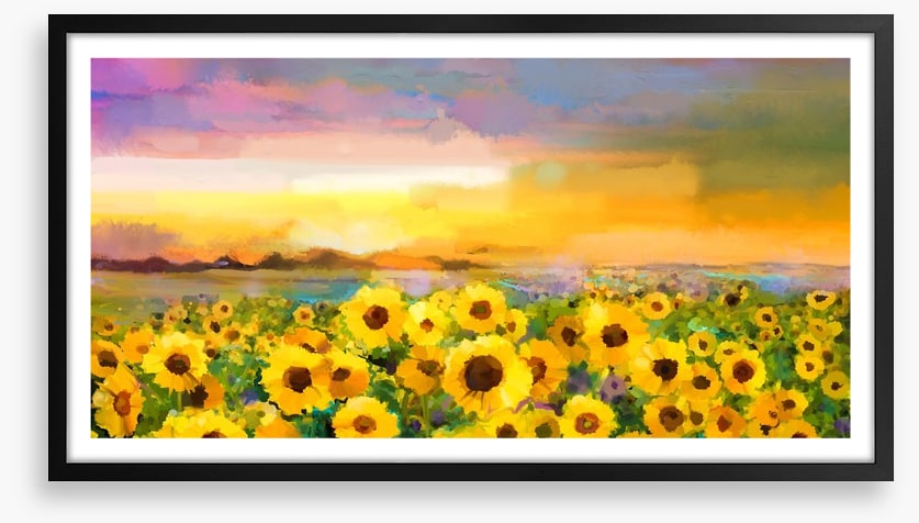 The sunflower meadow