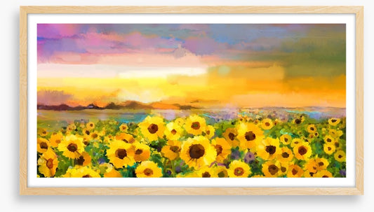 The sunflower meadow