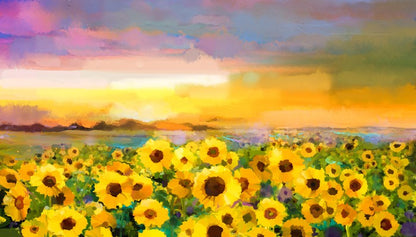 The sunflower meadow