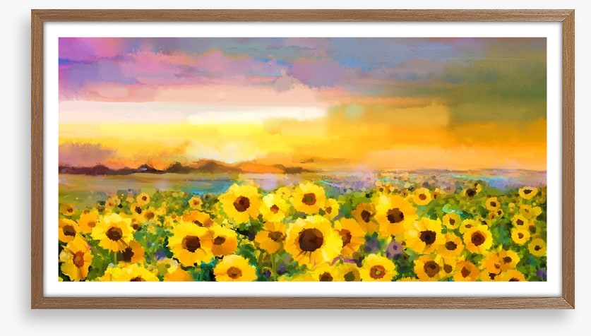 The sunflower meadow