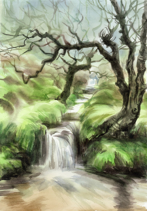 Spring creek falls