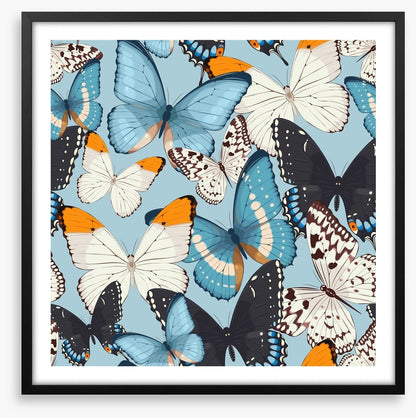 Butterflies