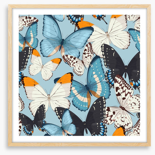 Butterflies
